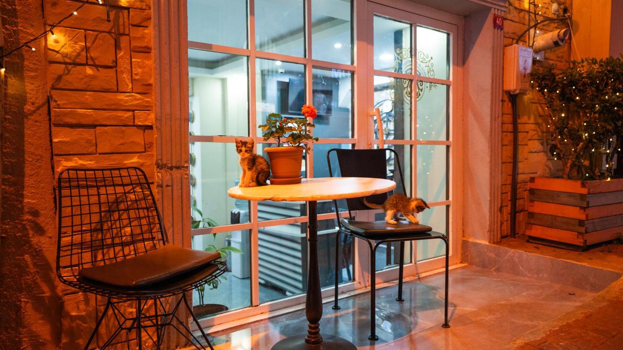 Mila Taksim 3* Istambul